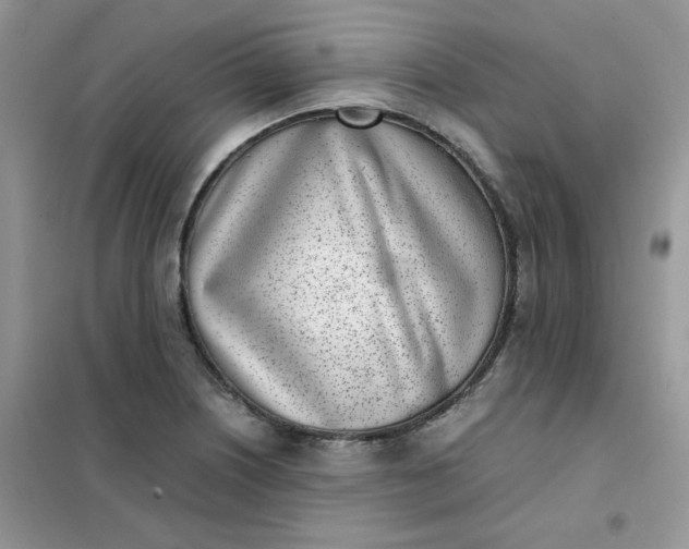 X0000102031226200808011440