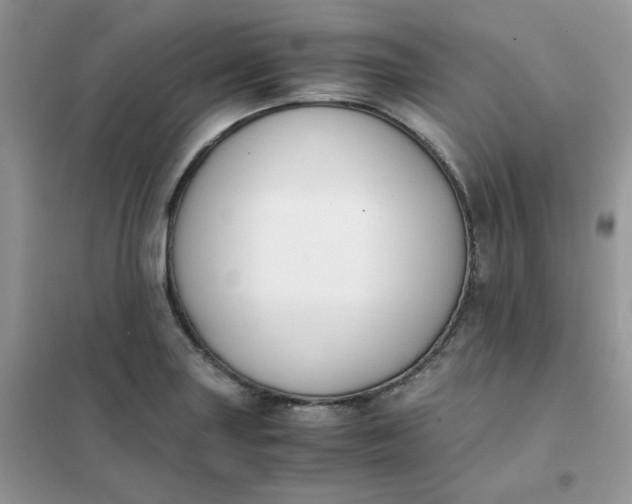 X0000102031227200808011440