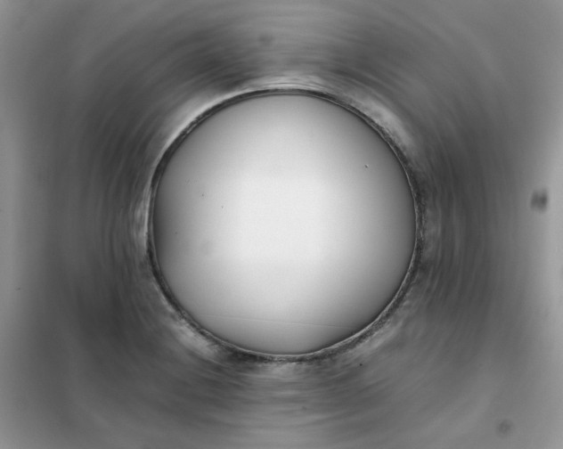 X0000102031228200808011440