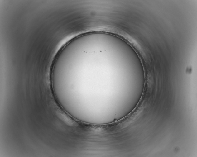 X0000102031230200808011440