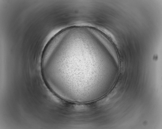 X0000102031231200808011440