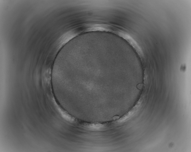 X0000102031233200808011440