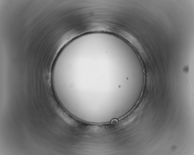 X0000102031234200808011440