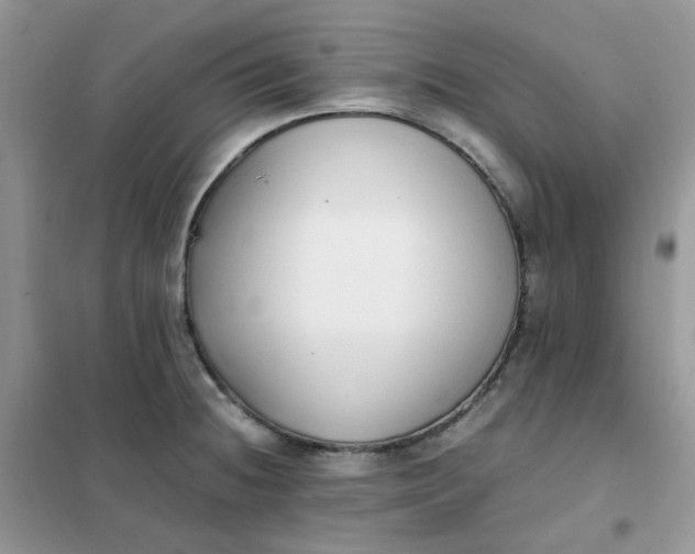 X0000102031236200808011440