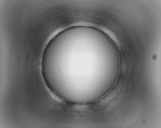 X0000102031237200808011440