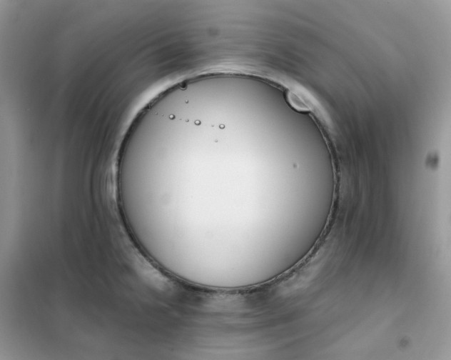 X0000102031238200808011440