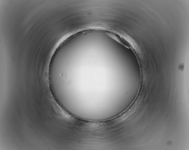 X0000102031240200808011440