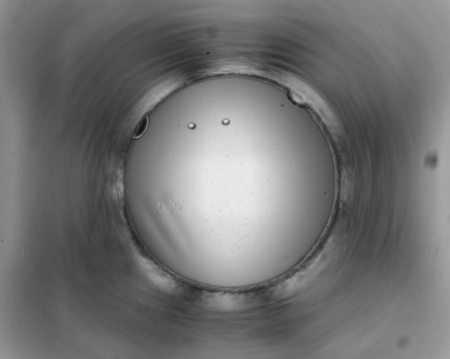 X0000102031241200808011440