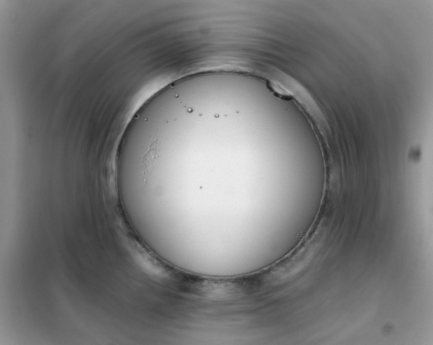 X0000102031242200808011440