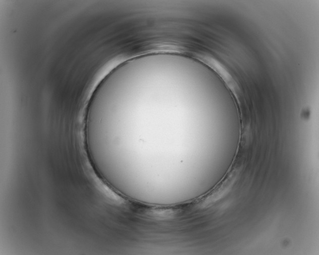 X0000102031243200808011440