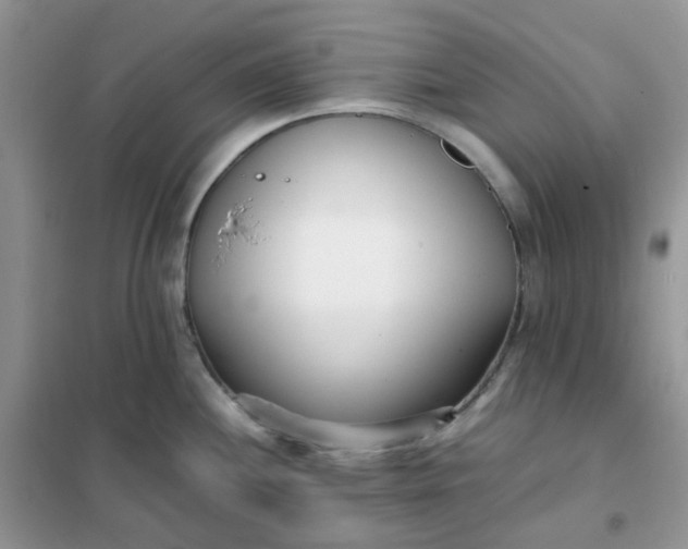 X0000102031244200808011440