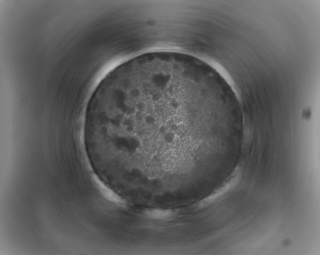 X0000102031245200808011440