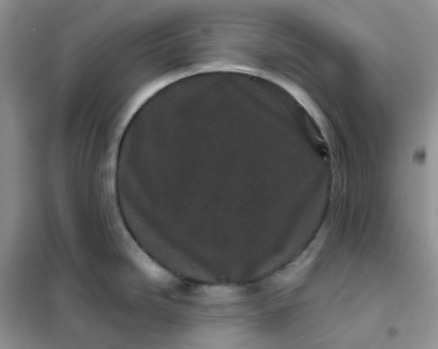 X0000102031246200808011440