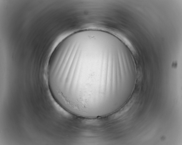 X0000102031247200808011440