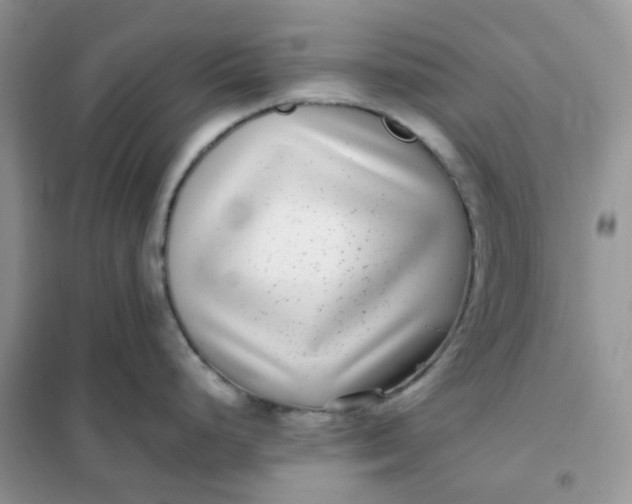 X0000102031248200808011440