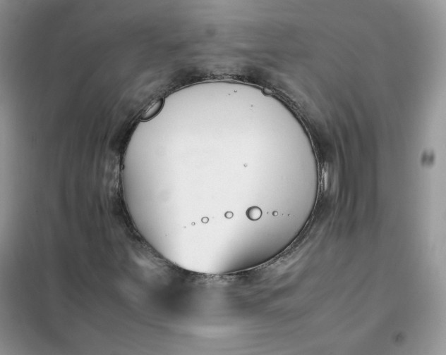 X0000102031251200808011439