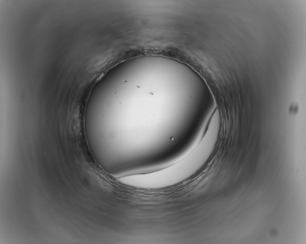 X0000102031252200808011439