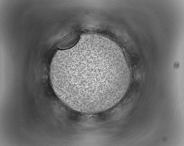 X0000102031253200808011439