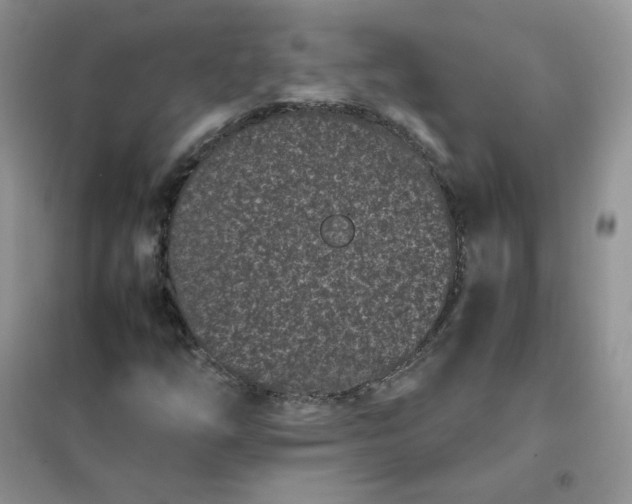 X0000102031254200808011439