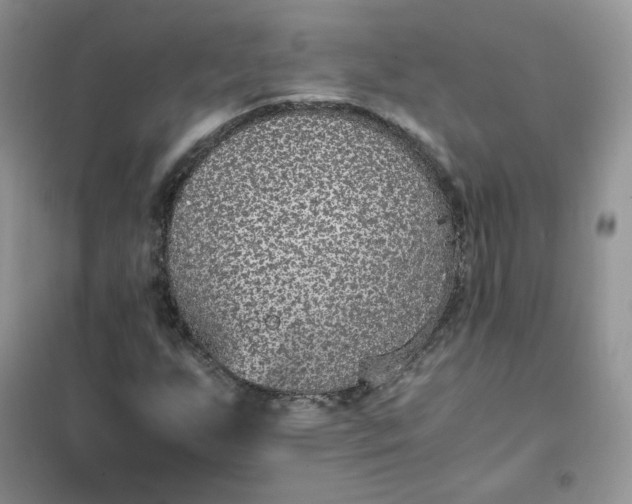 X0000102031255200808011439