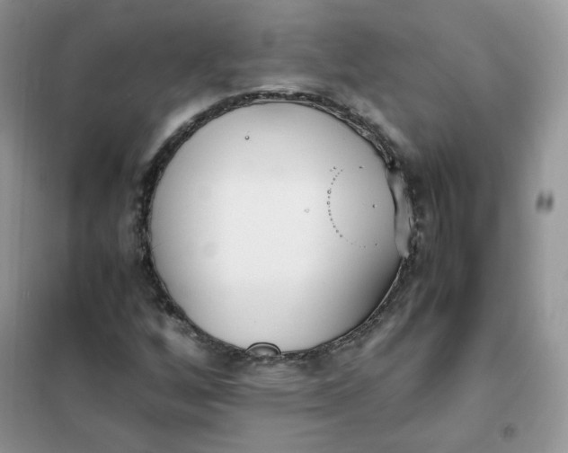 X0000102031256200808011439