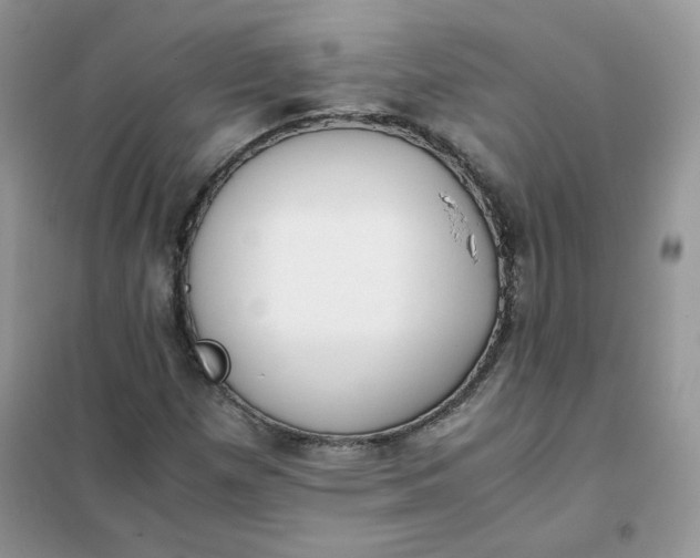 X0000102031257200808011439