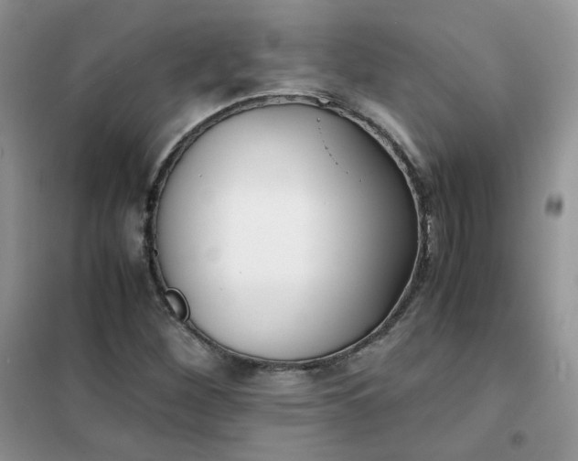 X0000102031260200808011439