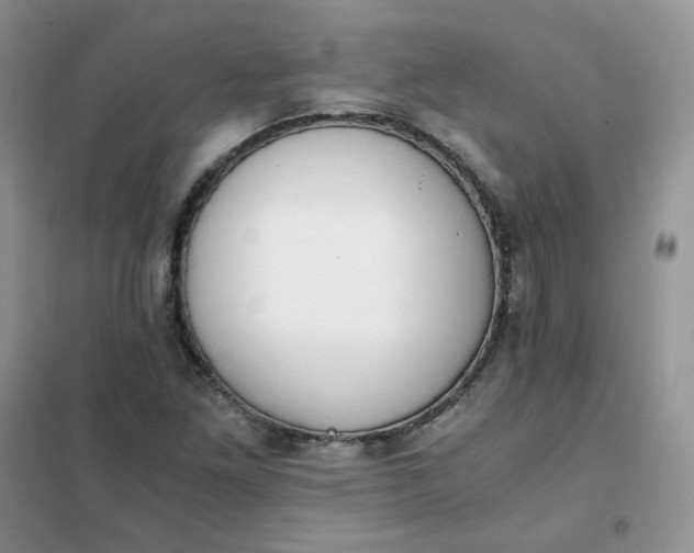 X0000102031261200808011439