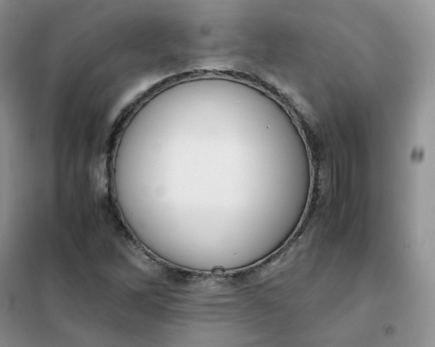 X0000102031262200808011439