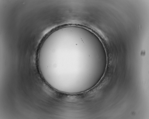 X0000102031264200808011439