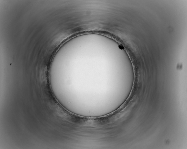 X0000102031265200808011439