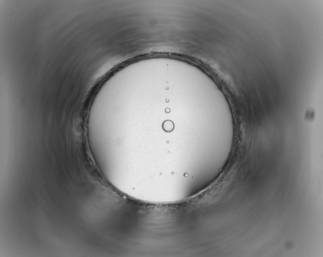 X0000102031266200808011439