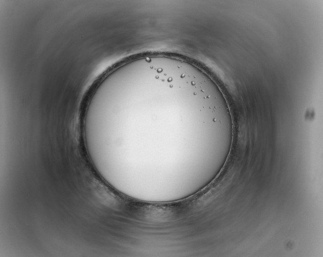 X0000102031270200808011439