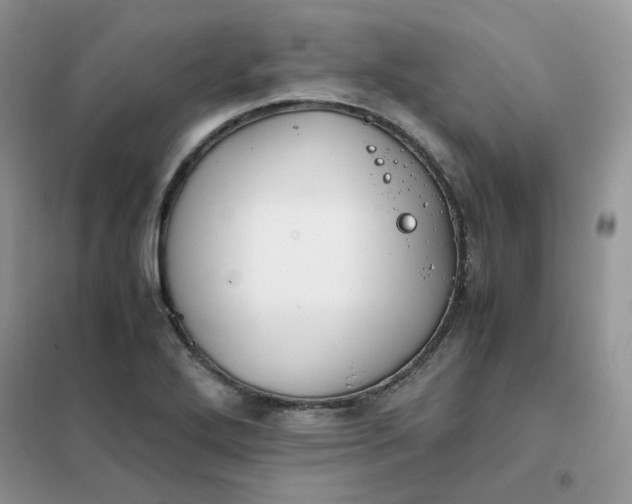 X0000102031272200808011439