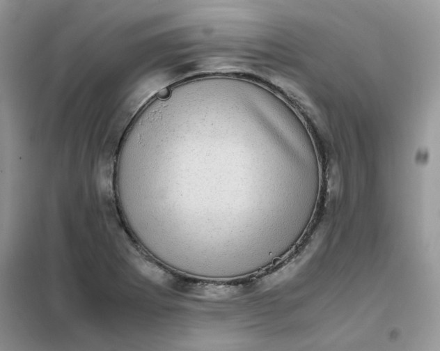 X0000102031273200808011439