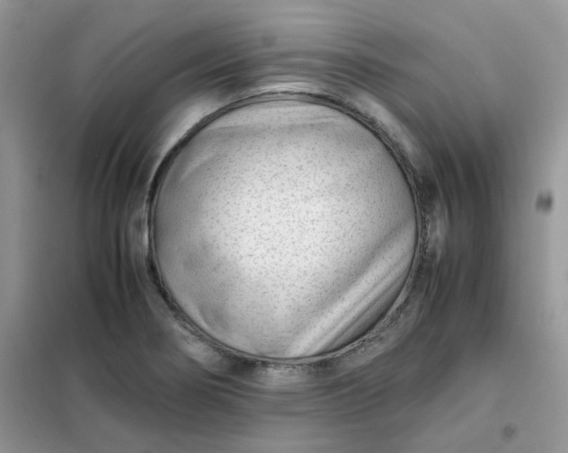 X0000102031274200808011439