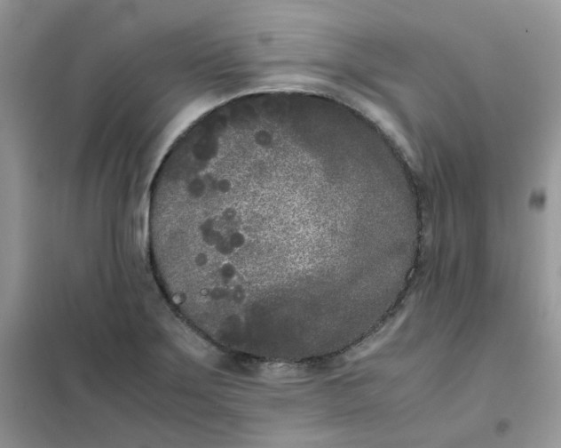 X0000102031275200808011439