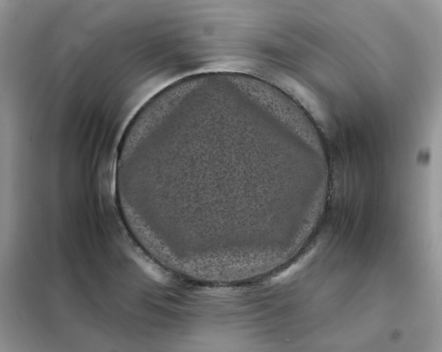 X0000102031276200808011439