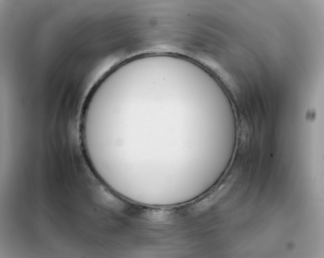 X0000102031278200808011439