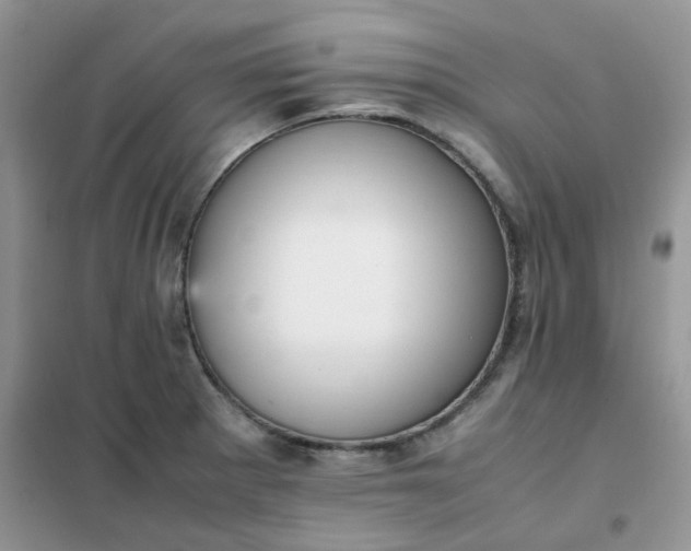 X0000102031281200808011439