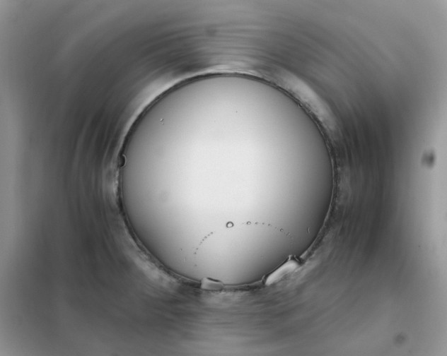 X0000102031284200808011439