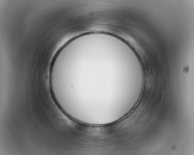 X0000102031286200808011439