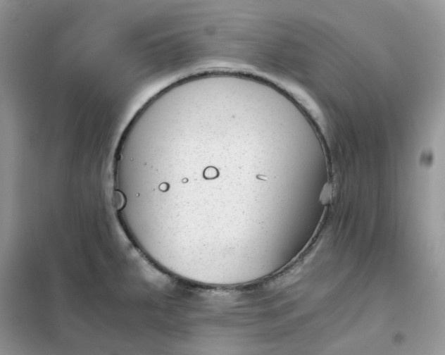 X0000102031287200808011439