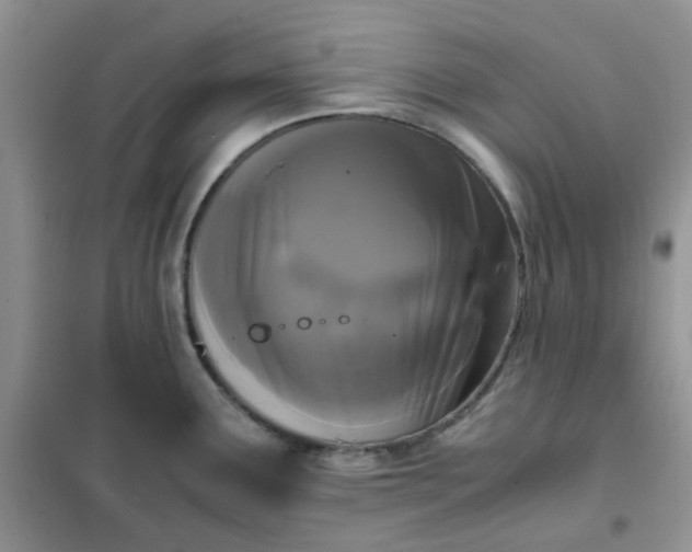 X0000102031291200808011439