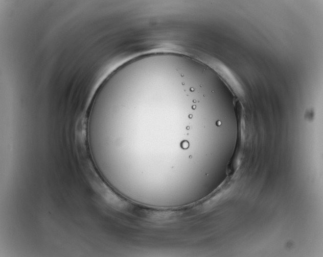 X0000102031292200808011439