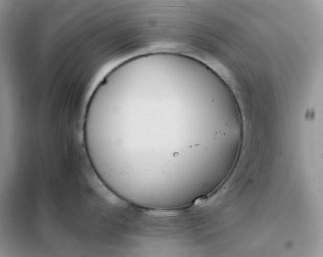 X0000102031296200808011439