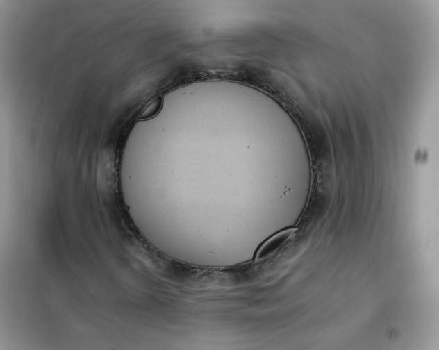 X0000102031298200808011438