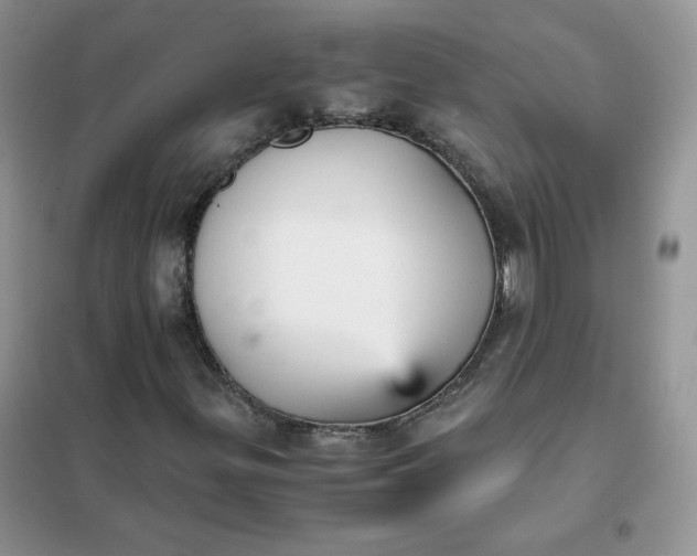 X0000102031299200808011438