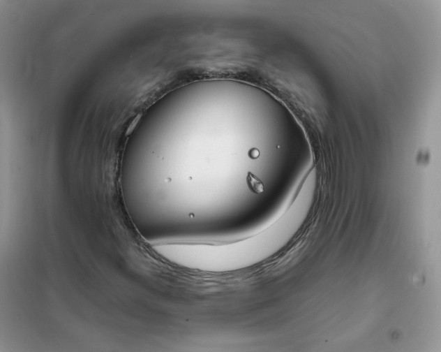 X0000102031300200808011438