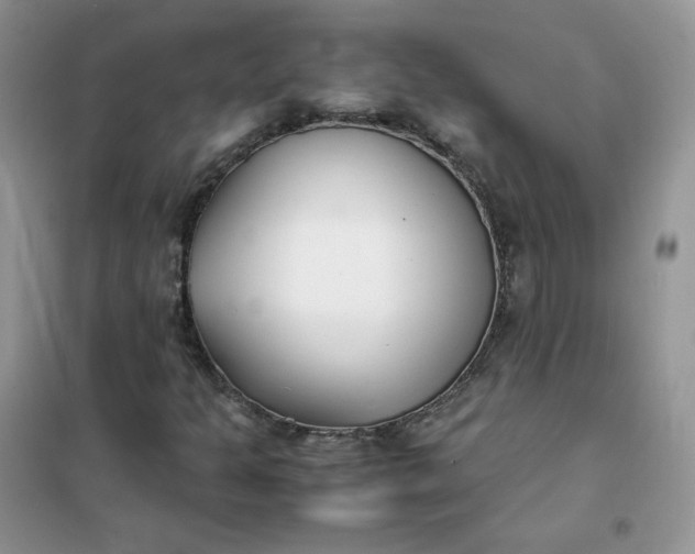 X0000102031301200808011438